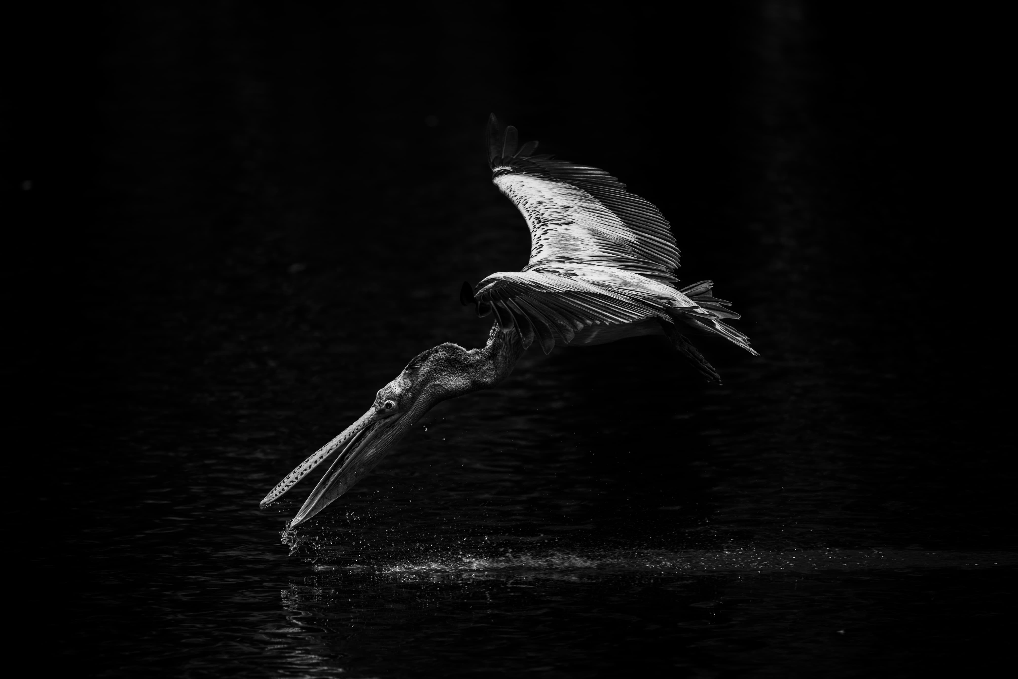 Nature and Travel Photo 1